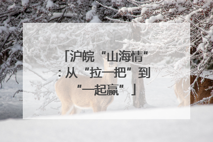 沪皖“山海情”：从“拉一把”到“一起赢”