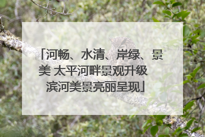 河畅、水清、岸绿、景美 太平河畔景观升级 滨河美景亮丽呈现