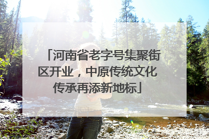 河南省老字号集聚街区开业，中原传统文化传承再添新地标