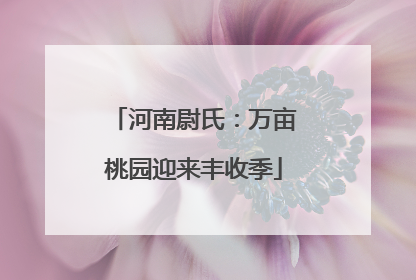 河南尉氏：万亩桃园迎来丰收季