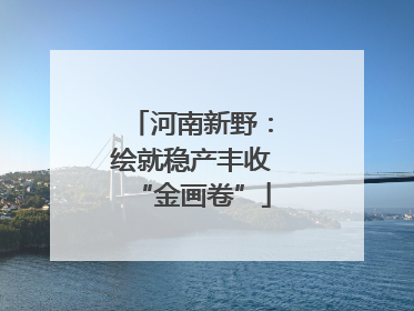 河南新野：绘就稳产丰收“金画卷”