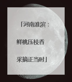 河南淮滨：鲜桃压枝香 采摘正当时