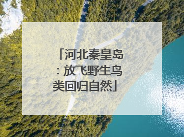 河北秦皇岛：放飞野生鸟类回归自然
