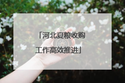 河北夏粮收购工作高效推进