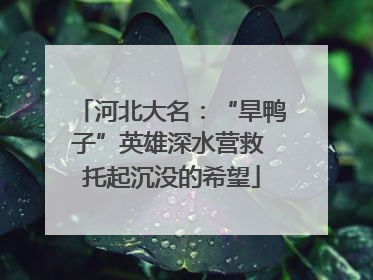 河北大名：“旱鸭子”英雄深水营救 托起沉没的希望