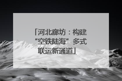 河北廊坊：构建“空铁陆海”多式联运新通道