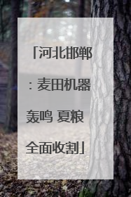 河北邯郸：麦田机器轰鸣 夏粮全面收割