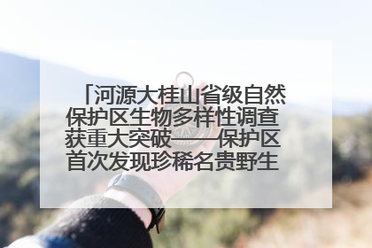 河源大桂山省级自然保护区生物多样性调查获重大突破——保护区首次发现珍稀名贵野生干巴菌与钝尾两头蛇