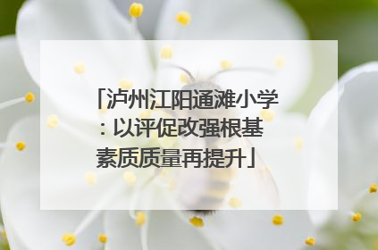 泸州江阳通滩小学：以评促改强根基 素质质量再提升