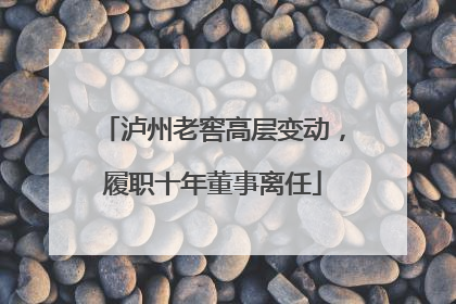 泸州老窖高层变动，履职十年董事离任