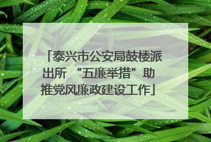 泰兴市公安局鼓楼派出所 “五廉举措”助推党风廉政建设工作
