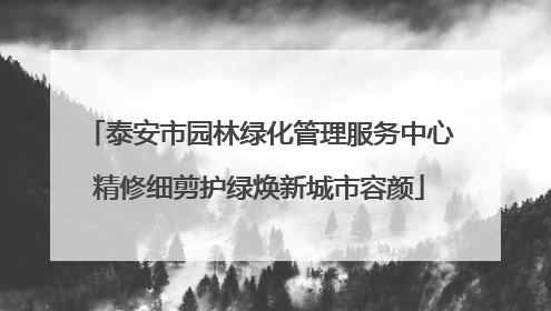 泰安市园林绿化管理服务中心精修细剪护绿焕新城市容颜