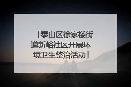泰山区徐家楼街道新峪社区开展环境卫生整治活动