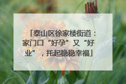 泰山区徐家楼街道：家门口“好孕”又“好业”，托起稳稳幸福