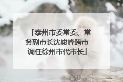 泰州市委常委、常务副市长沈峻峰跨市调任徐州市代市长
