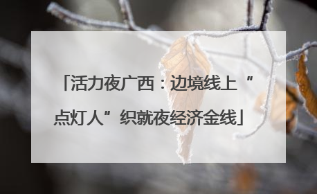 活力夜广西：边境线上“点灯人”织就夜经济金线