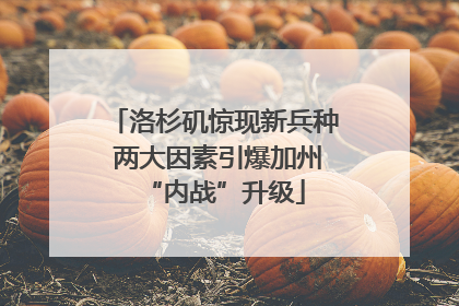 洛杉矶惊现新兵种 两大因素引爆加州“内战”升级