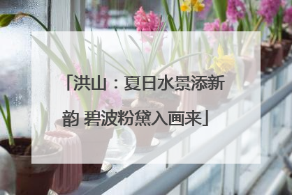 洪山：夏日水景添新韵 碧波粉黛入画来