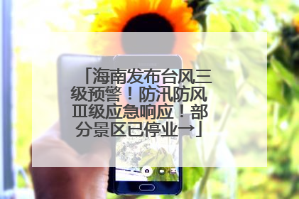 海南发布台风三级预警！防汛防风Ⅲ级应急响应！部分景区已停业→