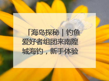 海岛探秘｜钓鱼爱好者组团来南隍城海钓，新手体验也惊喜连连