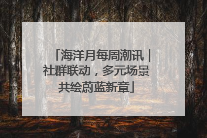 海洋月每周潮讯｜社群联动，多元场景共绘蔚蓝新章