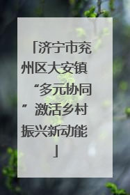 济宁市兖州区大安镇“多元协同”激活乡村振兴新动能