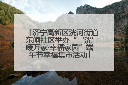 济宁高新区洸河街道东闸社区举办“‘洸’暖万家·幸福家园”端午节幸福集市活动