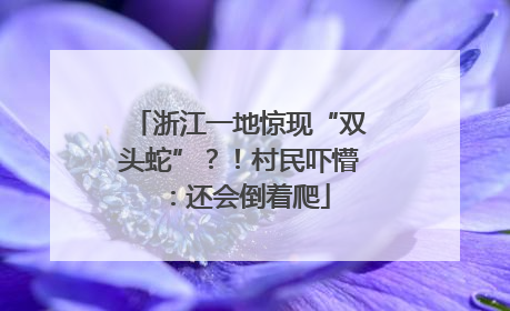 浙江一地惊现“双头蛇”？！村民吓懵：还会倒着爬