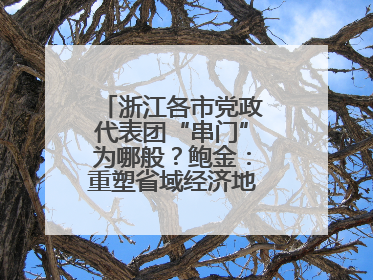 浙江各市党政代表团“串门”为哪般？鲍金：重塑省域经济地理的破题之道