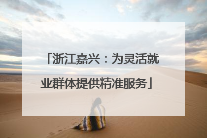 浙江嘉兴：为灵活就业群体提供精准服务