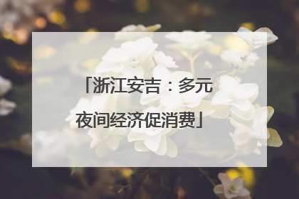 浙江安吉：多元夜间经济促消费