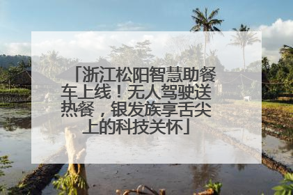 浙江松阳智慧助餐车上线！无人驾驶送热餐，银发族享舌尖上的科技关怀