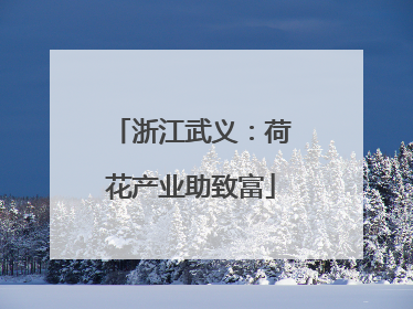 浙江武义：荷花产业助致富