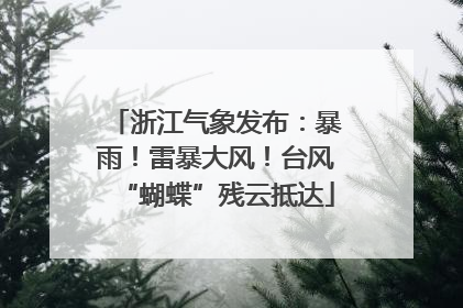 浙江气象发布：暴雨！雷暴大风！台风“蝴蝶”残云抵达