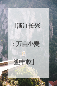 浙江长兴：万亩小麦迎丰收