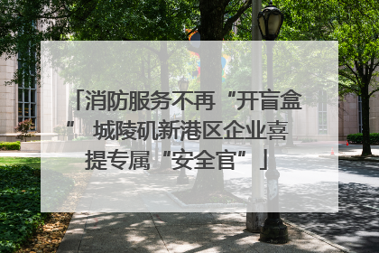 消防服务不再“开盲盒” 城陵矶新港区企业喜提专属“安全官”
