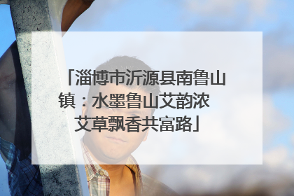 淄博市沂源县南鲁山镇：水墨鲁山艾韵浓 艾草飘香共富路