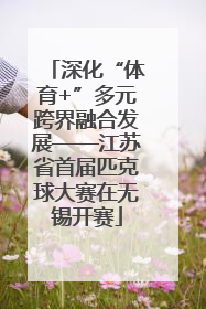 深化“体育+”多元跨界融合发展——江苏省首届匹克球大赛在无锡开赛