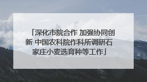 深化市院合作 加强协同创新 中国农科院作科所调研石家庄小麦选育种等工作