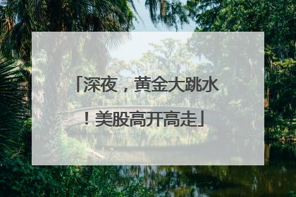 深夜，黄金大跳水！美股高开高走