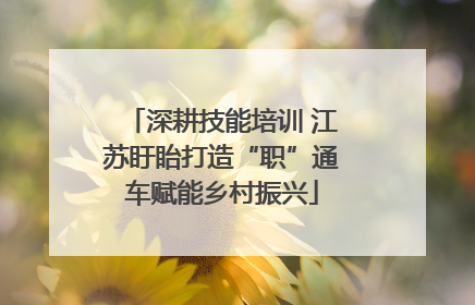 深耕技能培训 江苏盱眙打造“职”通车赋能乡村振兴