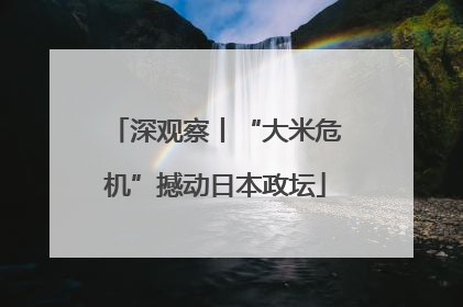 深观察丨“大米危机”撼动日本政坛