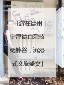游在德州｜宁津德百杂技蟋蟀谷，沉浸式文旅盛宴