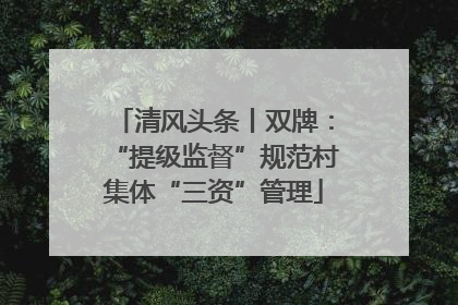 清风头条丨双牌：“提级监督”规范村集体“三资”管理