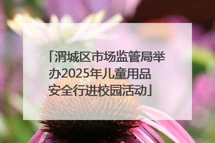 渭城区市场监管局举办2025年儿童用品安全行进校园活动