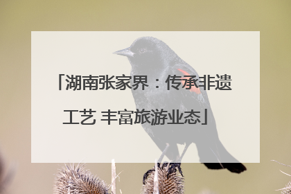 湖南张家界：传承非遗工艺 丰富旅游业态