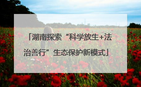 湖南探索“科学放生+法治善行”生态保护新模式