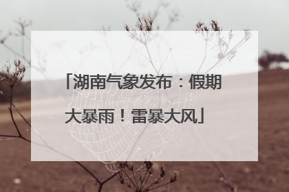 湖南气象发布：假期大暴雨！雷暴大风