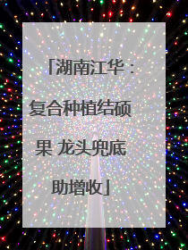 湖南江华：复合种植结硕果 龙头兜底助增收