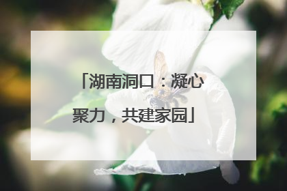 湖南洞口：凝心聚力，共建家园